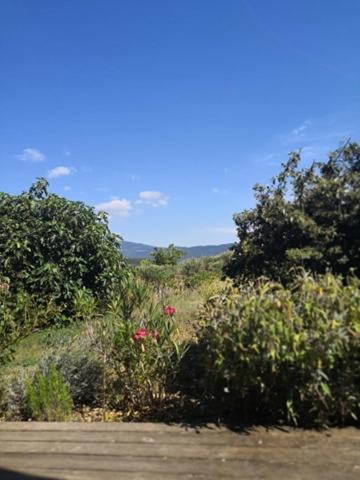 Villa Spacieuse Avec Terrasse Et Vue Mont Ventoux Entrechaux Exterior foto